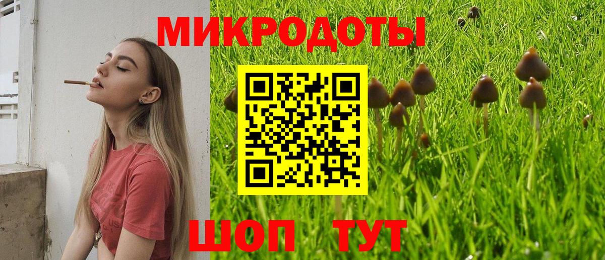 наркошоп  Псилоцибиновые грибы MAGIC MUSHROOMS  Вход с VPN  Галлюциногенные грибы MAGIC MUSHROOMS  Саяногорск 