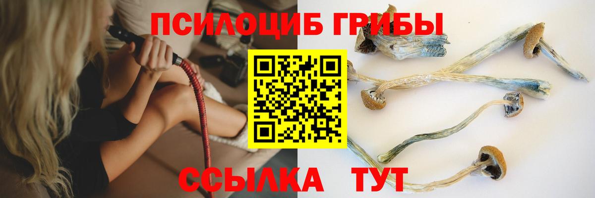 Псилоцибиновые грибы мухоморы Саяногорск